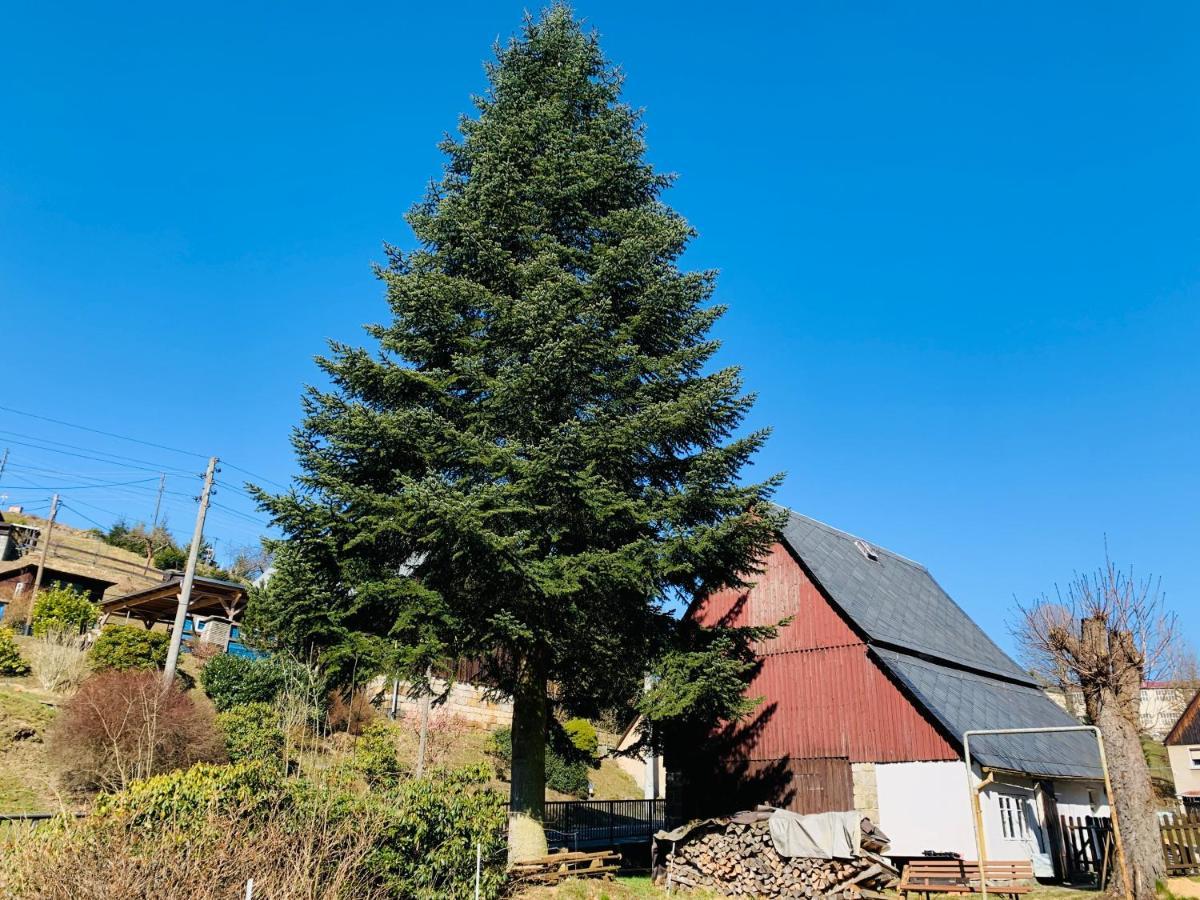 Naturhof Kluge Saupsdorf Esterno foto