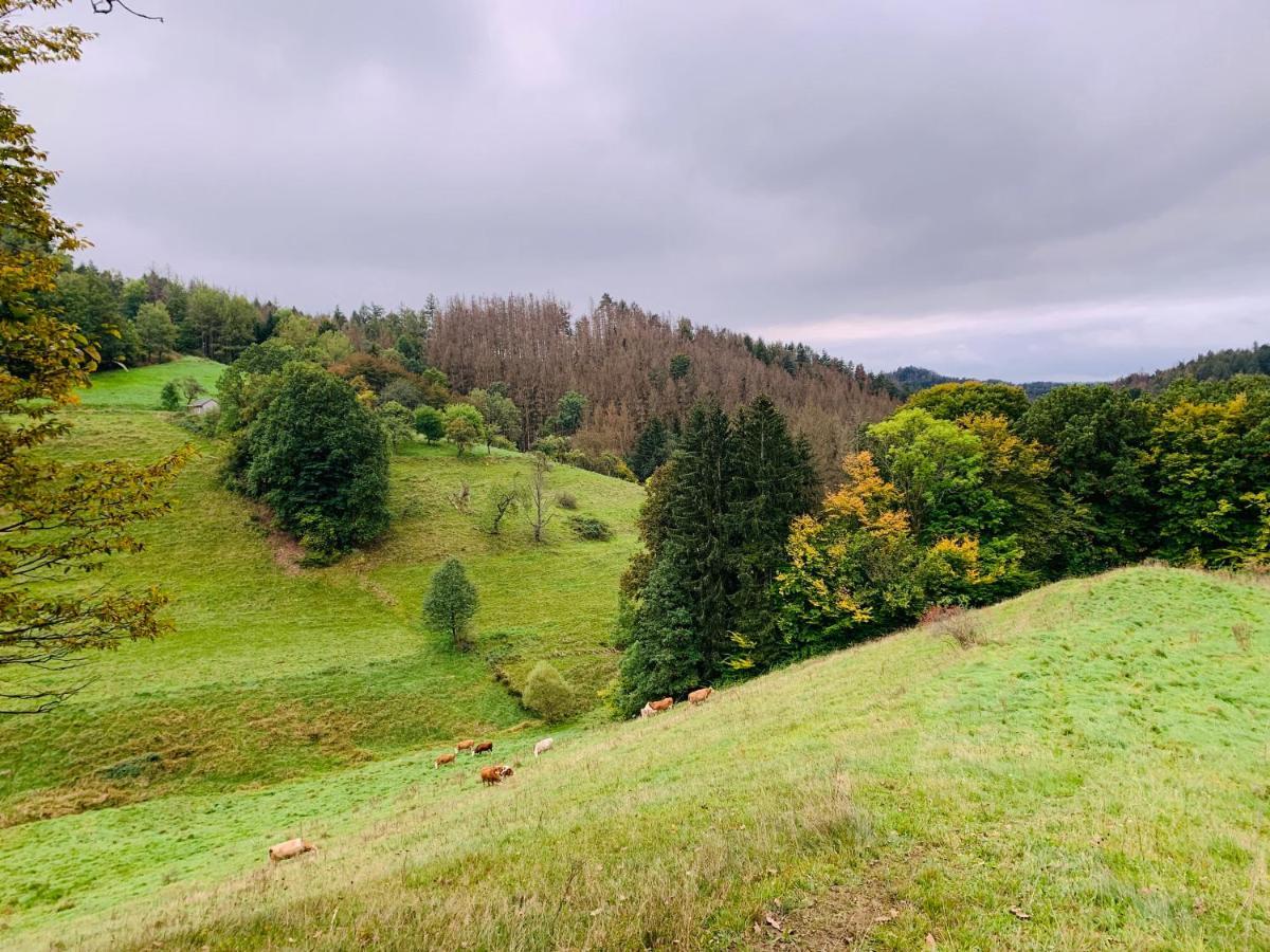 Naturhof Kluge Saupsdorf Esterno foto