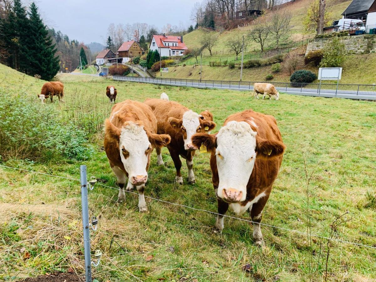 Naturhof Kluge Saupsdorf Esterno foto