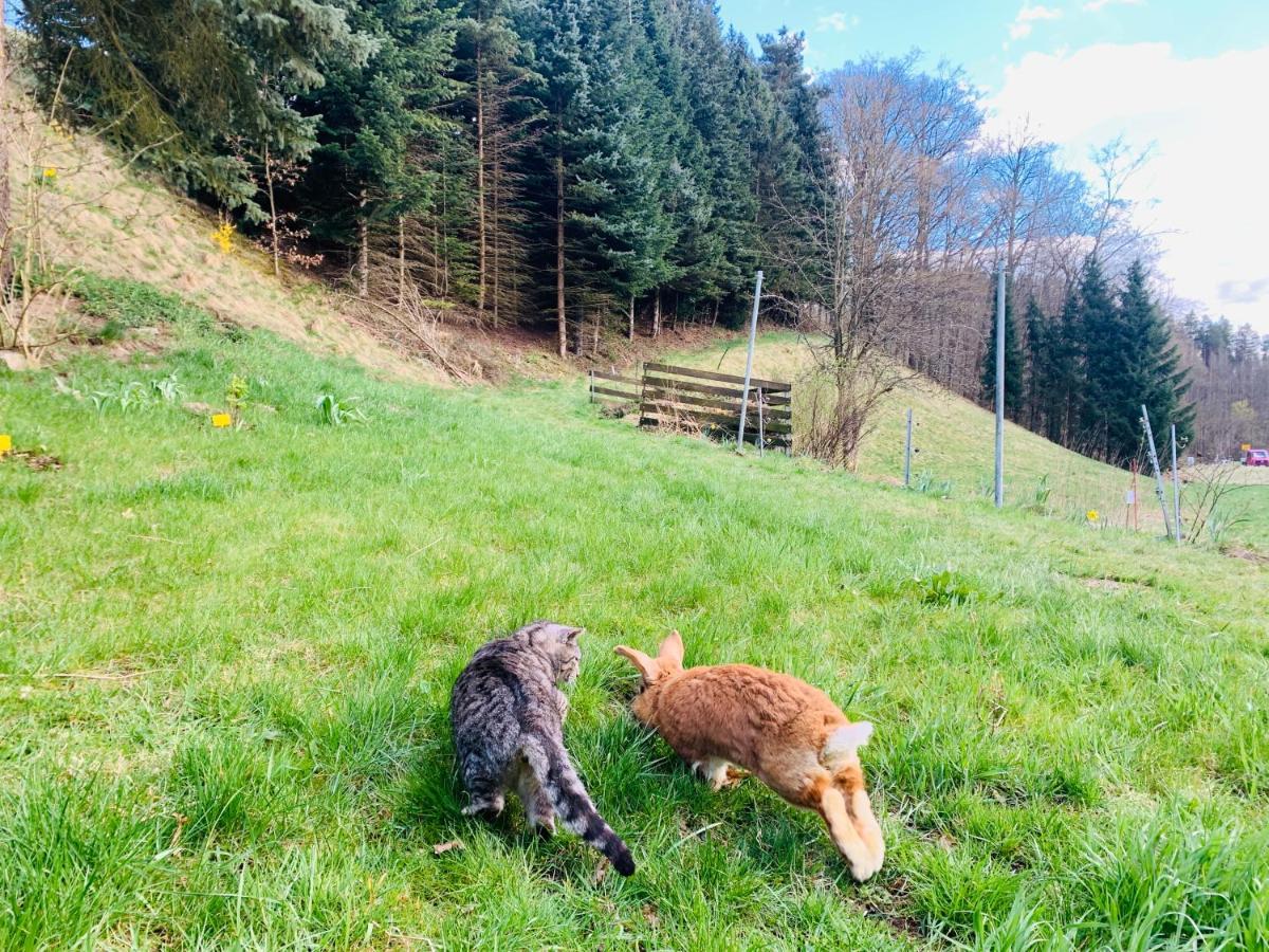Naturhof Kluge Saupsdorf Esterno foto