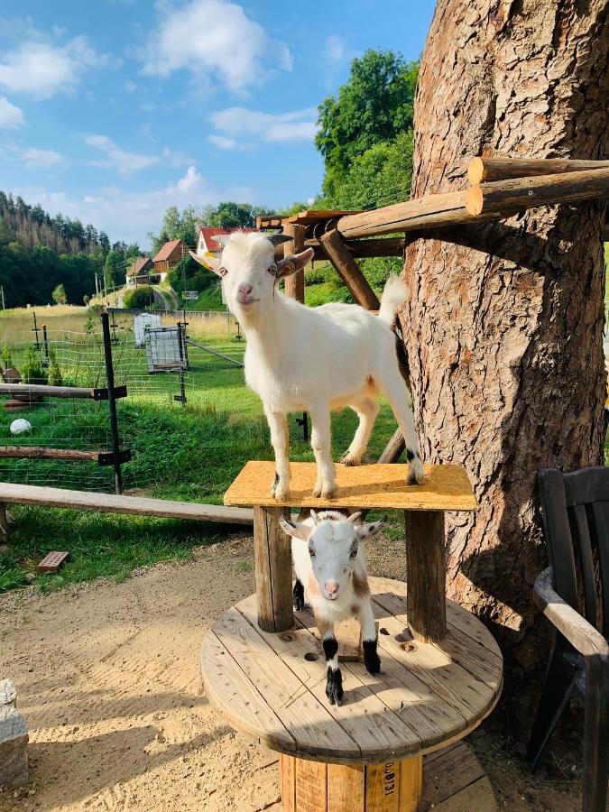 Naturhof Kluge Saupsdorf Esterno foto